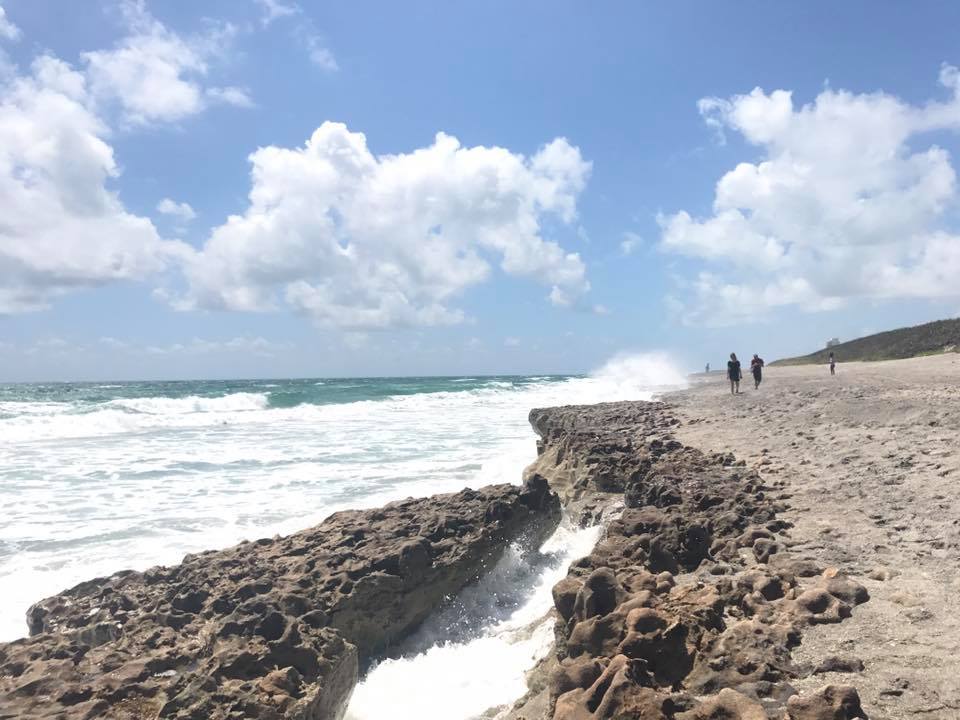 18839149_10210446795103334_4309740713402610673_n