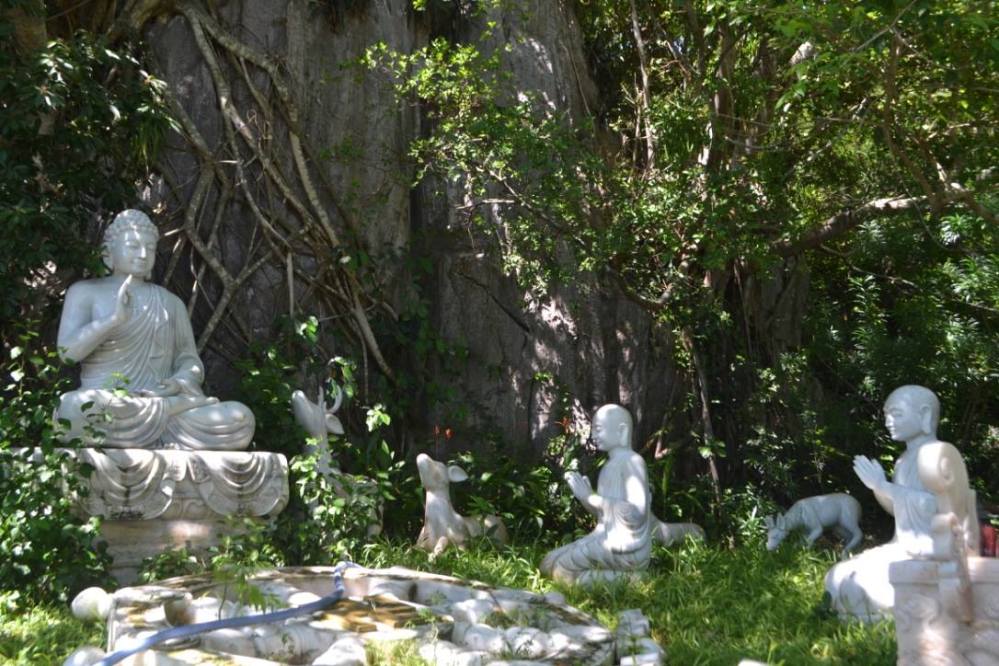 21273600_10211295839248907_7939709797139981414_o